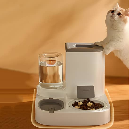 Distibuteur-de-croquettes-pour-chat-_abreuvoir