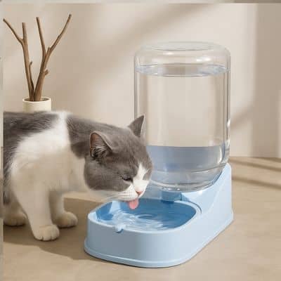 Distributeur-de-croquettes-pour-chat_et-distributeur-d-eau-bleu