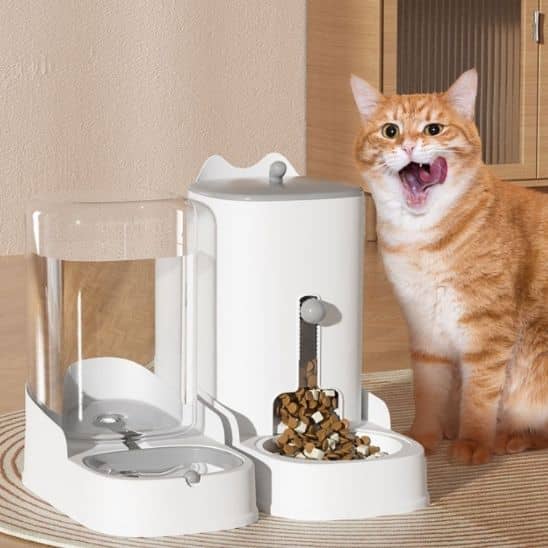 Distributeur-de-croquettes-pour-chat-qui-mange
