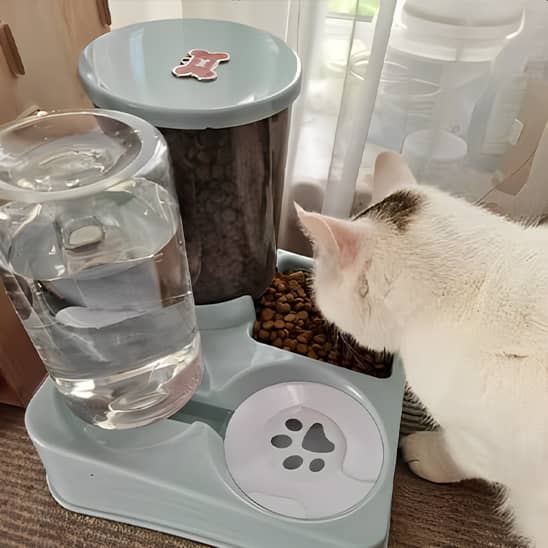 Distributeur-de-croquettes-pour-chat--gris