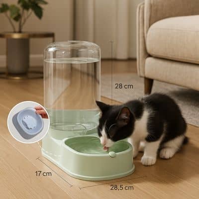 Distributeur-de-croquettes-pour-chat_et-distributeur-d-eau-vert
