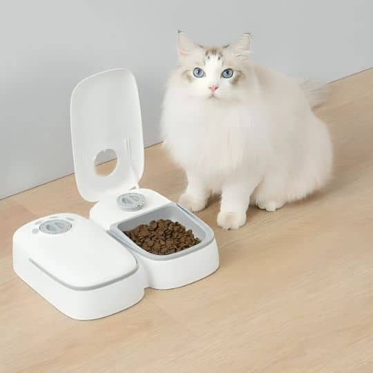 Distributeur-de-croquettes-pour-chat_gris