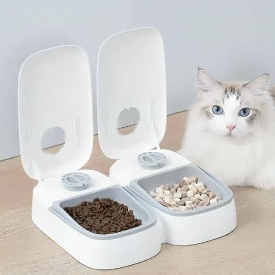 Distributeur-de-croquettes-pour-chat_pret- a-manger