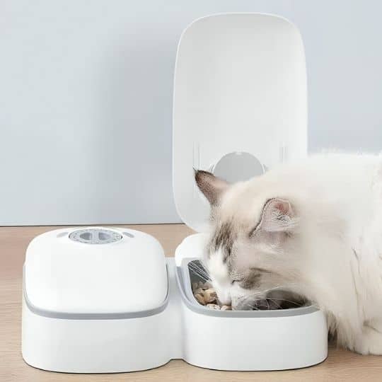 Distributeur-de-croquettes-pour-chat_qui-mange