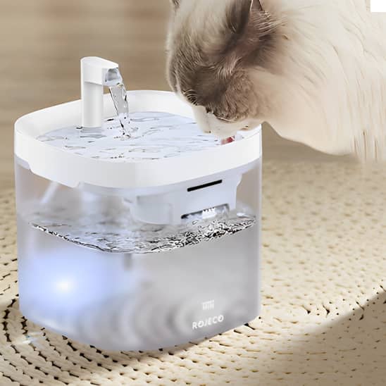 Fontaine-a-eau-chat_élégent