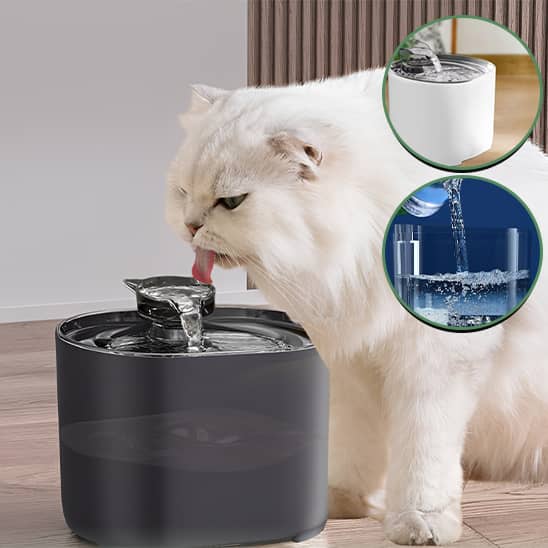 Fontaine-a-eau-chat-2L