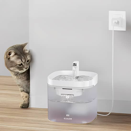 Fontaine-a-eau-chat_adaptateur