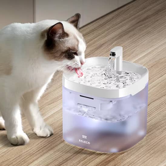 Fontaine-a-eau-chat_design