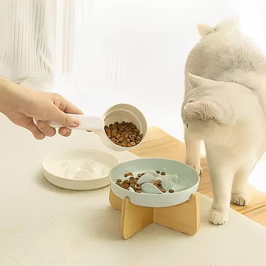 Gamelle anti glouton | Jamicat™