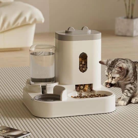 distributeur-de-croquettes-pour-chat-chaton