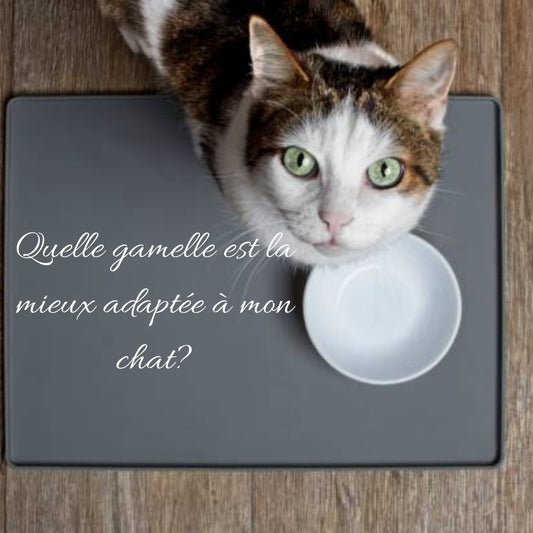 Gamelle chat: Quelle gamelle est la mieux adaptée à mon chat?