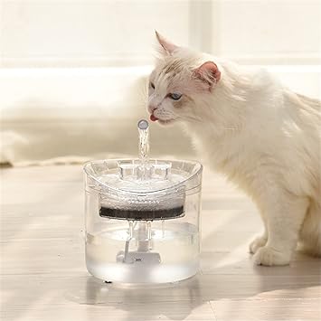 FONTAINE A EAU CHAT| UBARI™