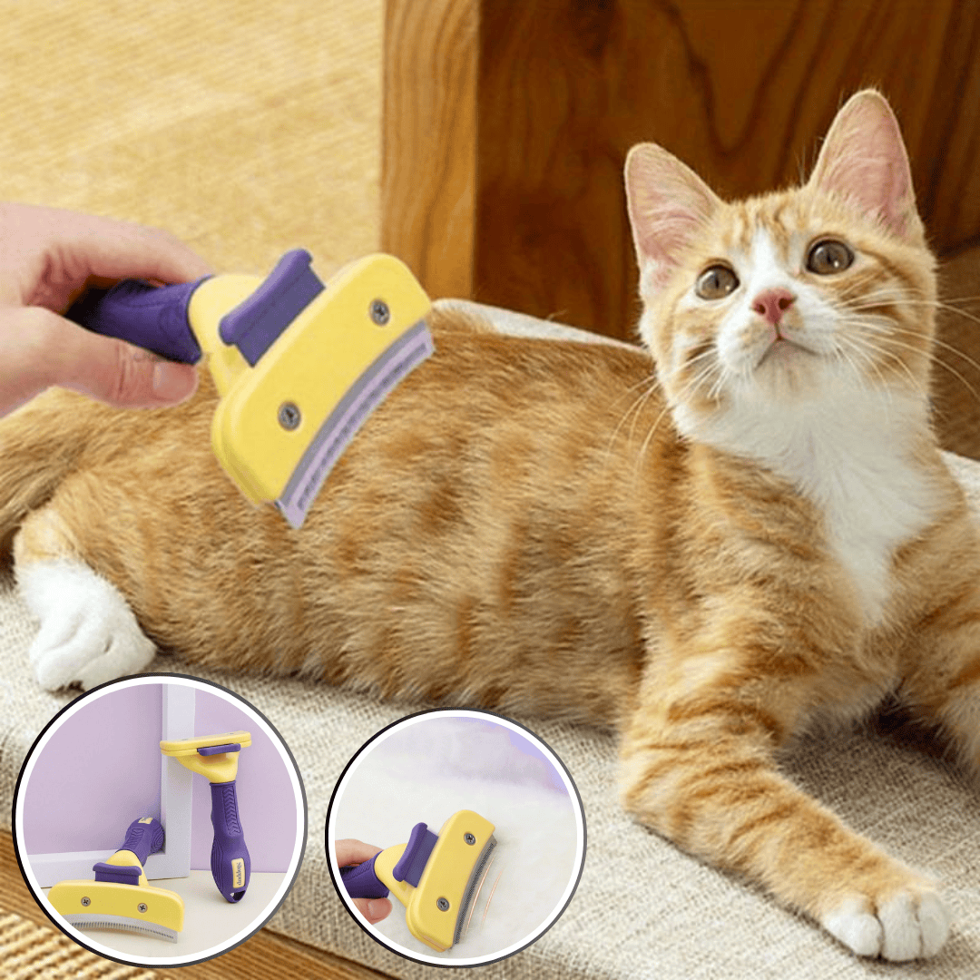 Brosse-a-chat-ergonomique