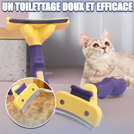 Brosse-a-chat-pratiqe