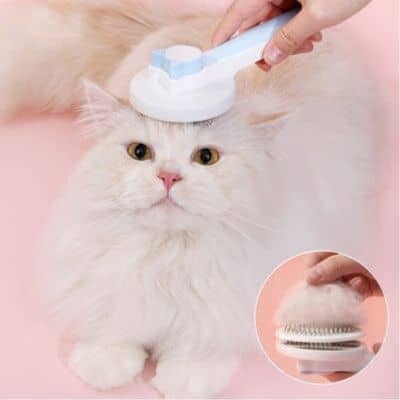 Brosse pour chat auto nettoyante