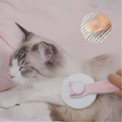 Brosse pour chat douce