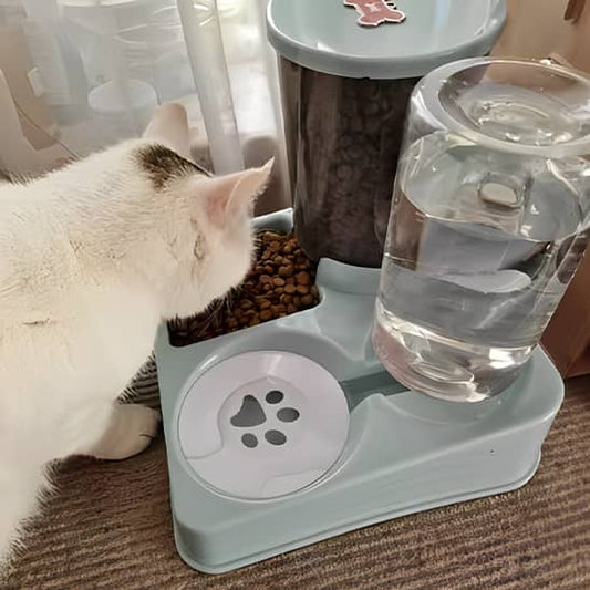 Distributeur-de-croquettes-pour-chat-chat-qui-mange