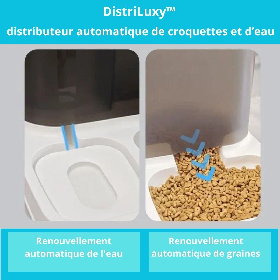 Distributeur_de_croquettes_pour_chat_ design