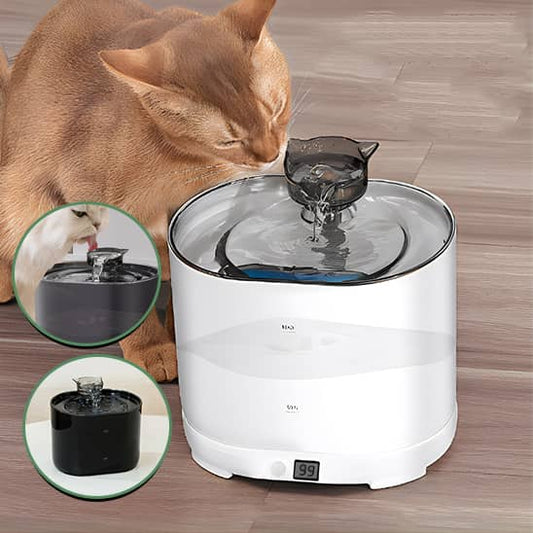 Fontaine-a-eau-chat-blanche