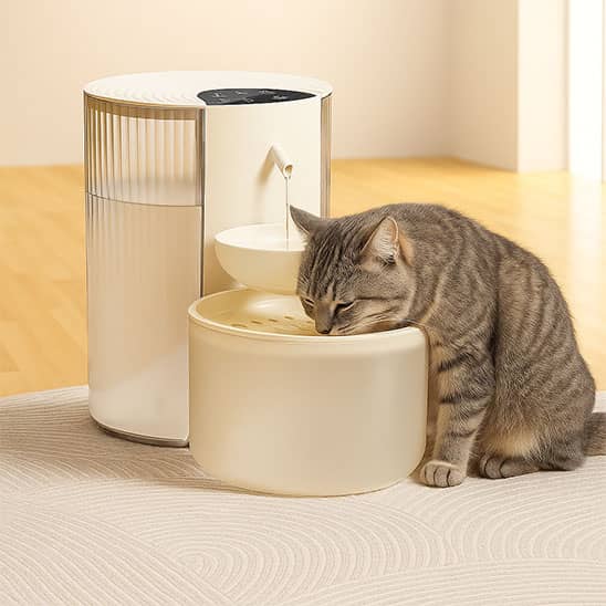 Fontaine-a-eau-chat-changement-eau
