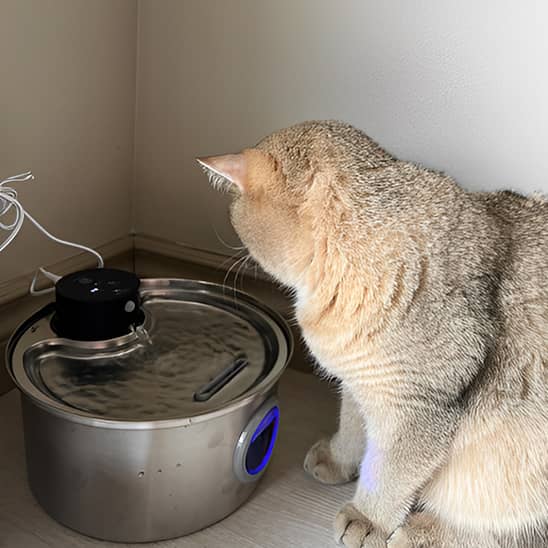 Fontaine-a-eau-chat-grande-capacité