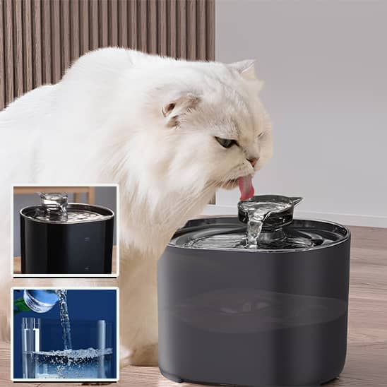 Fontaine-a-eau-chat-noir