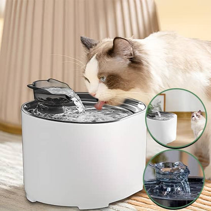 Fontaine-a-eau-chat-tête-de-chat