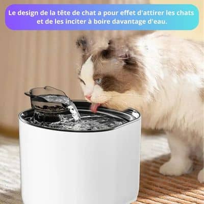 fontaine a eau chat blanc