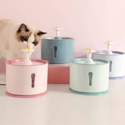 fontaine eau chat design floral