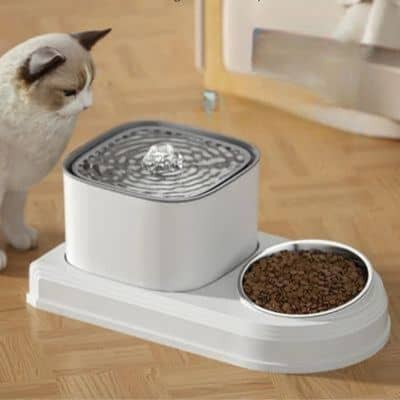 FONTAINE A EAU CHAT | CUBOL™