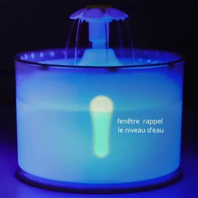 fontaine eau chat lumière led
