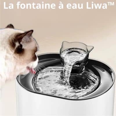 Fontaine a eau chat silencieuse