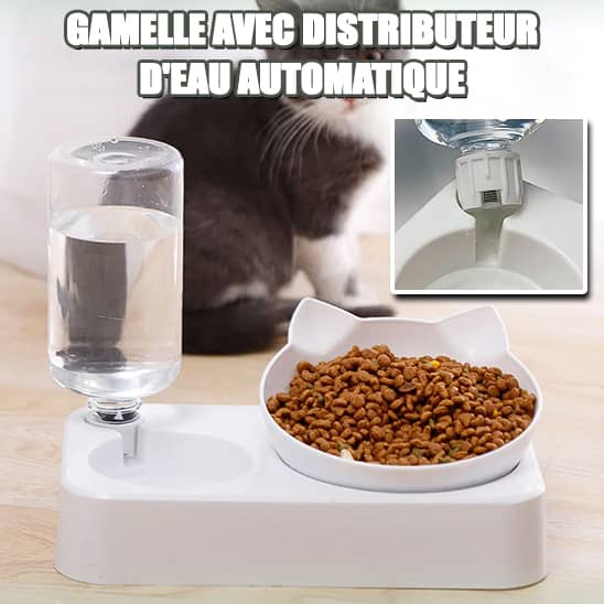 Gamelle chat distributeur automatique