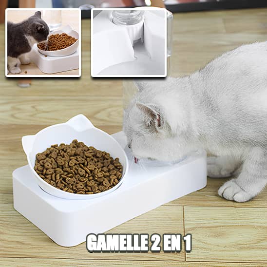 Gamelle chat 2 en 1