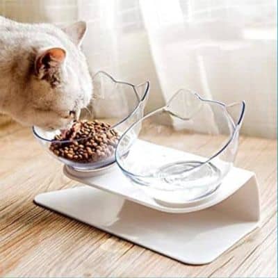 gamelle chat surélevée-transparent