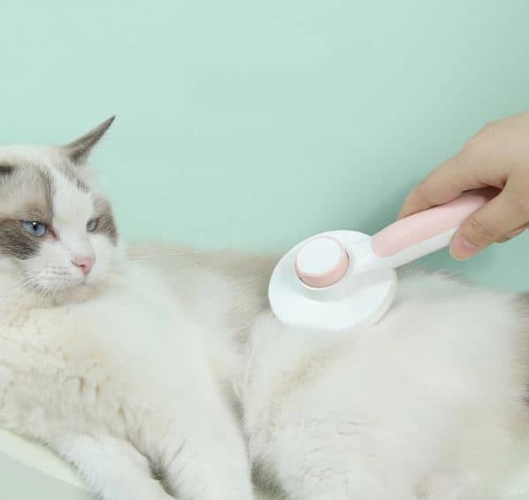 Brosse pour chat massante