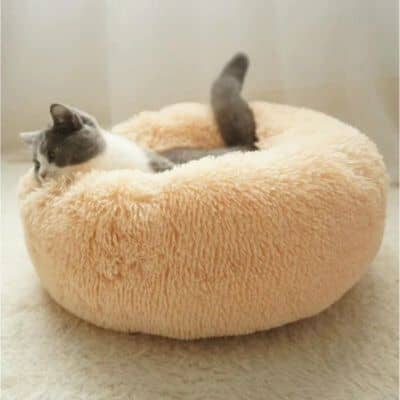 coussin pour chat beige