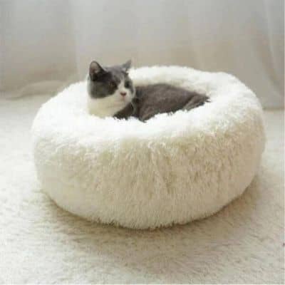 coussin pour chat beige