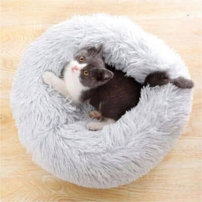 coussin pour chat gris claire