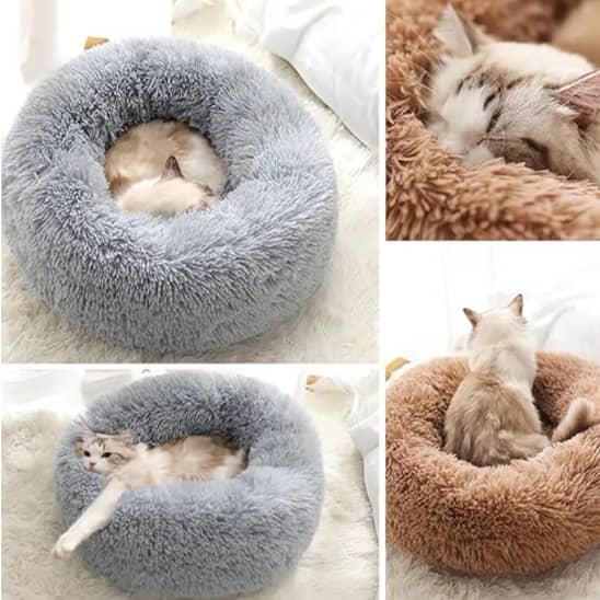 coussin pour chat surélevé