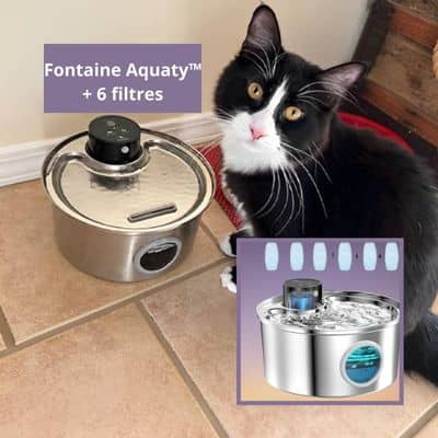 FONTAINE A EAU CHAT| AQUATY™