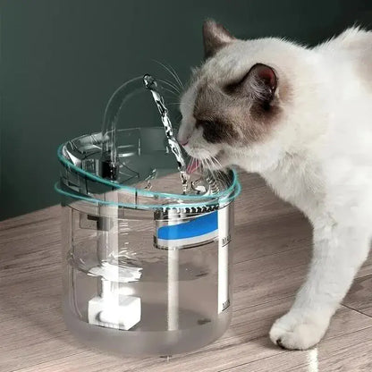 fontaine a eau chat avec filtre_1