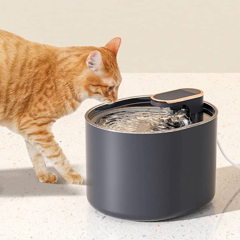 fontaine a eau chat led