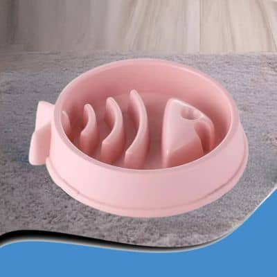 gamelle anti glouton poisson rose