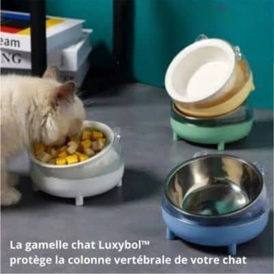 gamelle chat Luxybol™