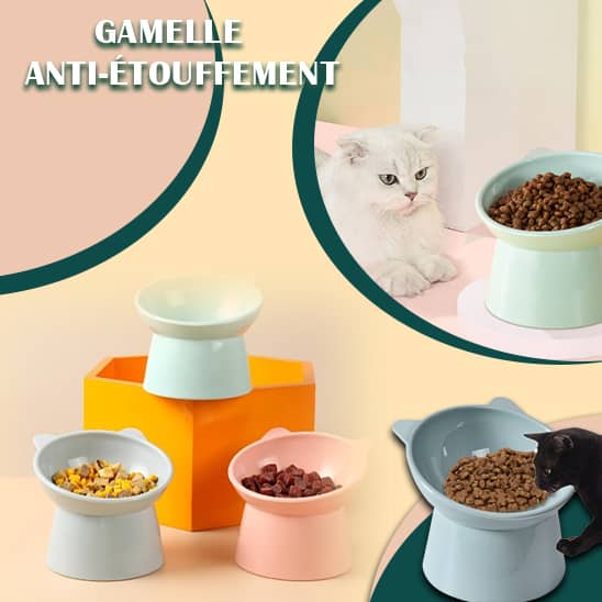 gamelle chat anti vomissement