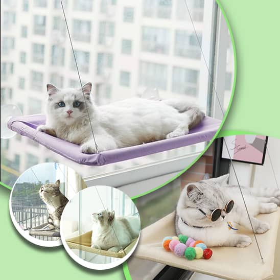 hamac pour chat lavable