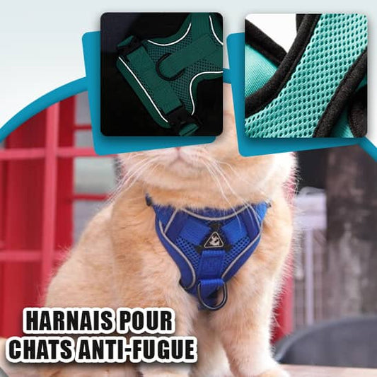 Harnais chat  | Ugly™