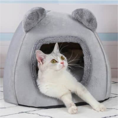 niche-pour-chat-oreille