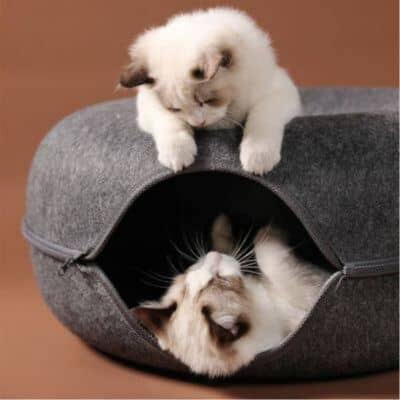 niche-pour-chat-feutre